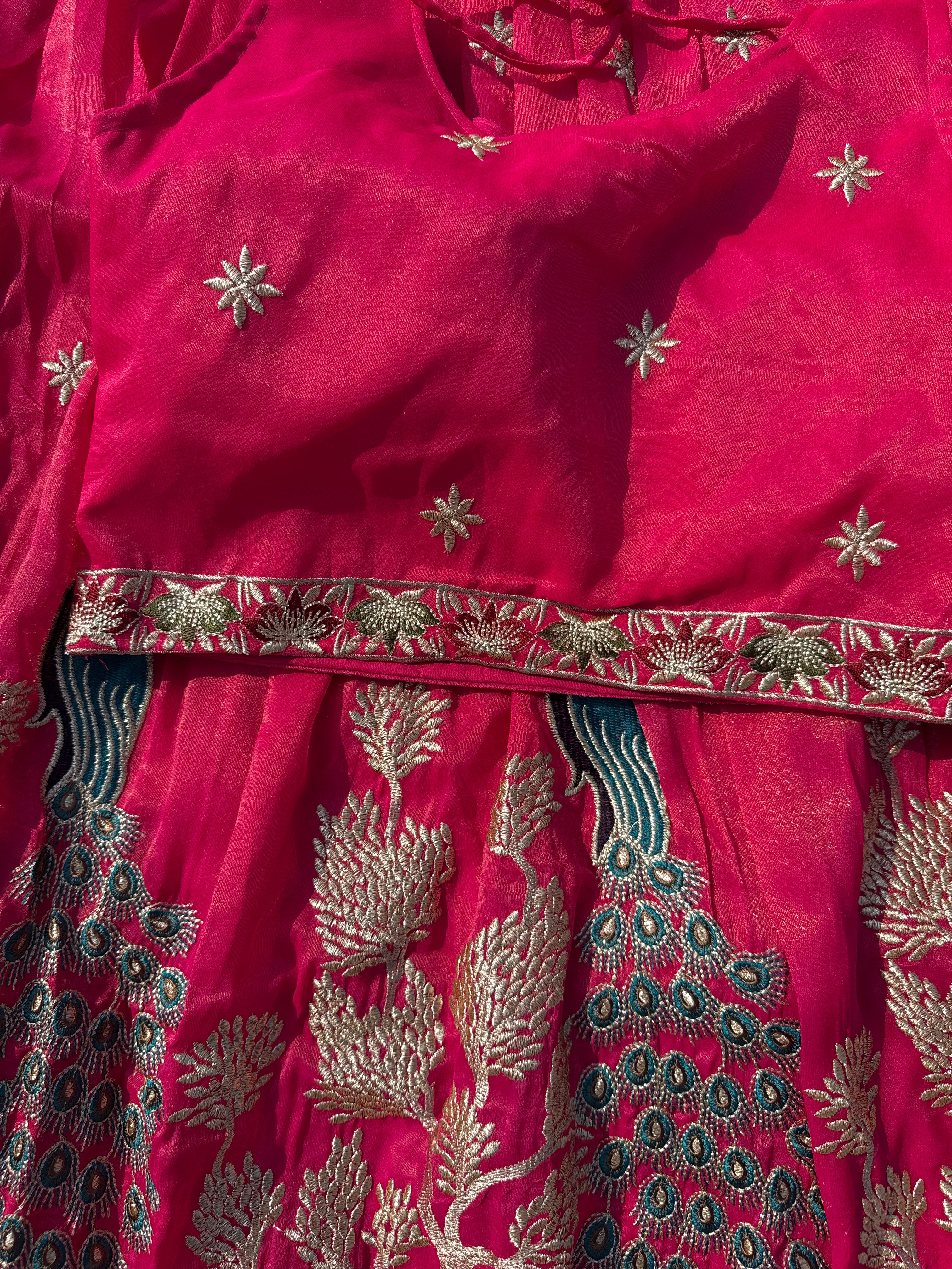 L-102 Designer Peacock Embroidered Lehenga  with Heavy Choli