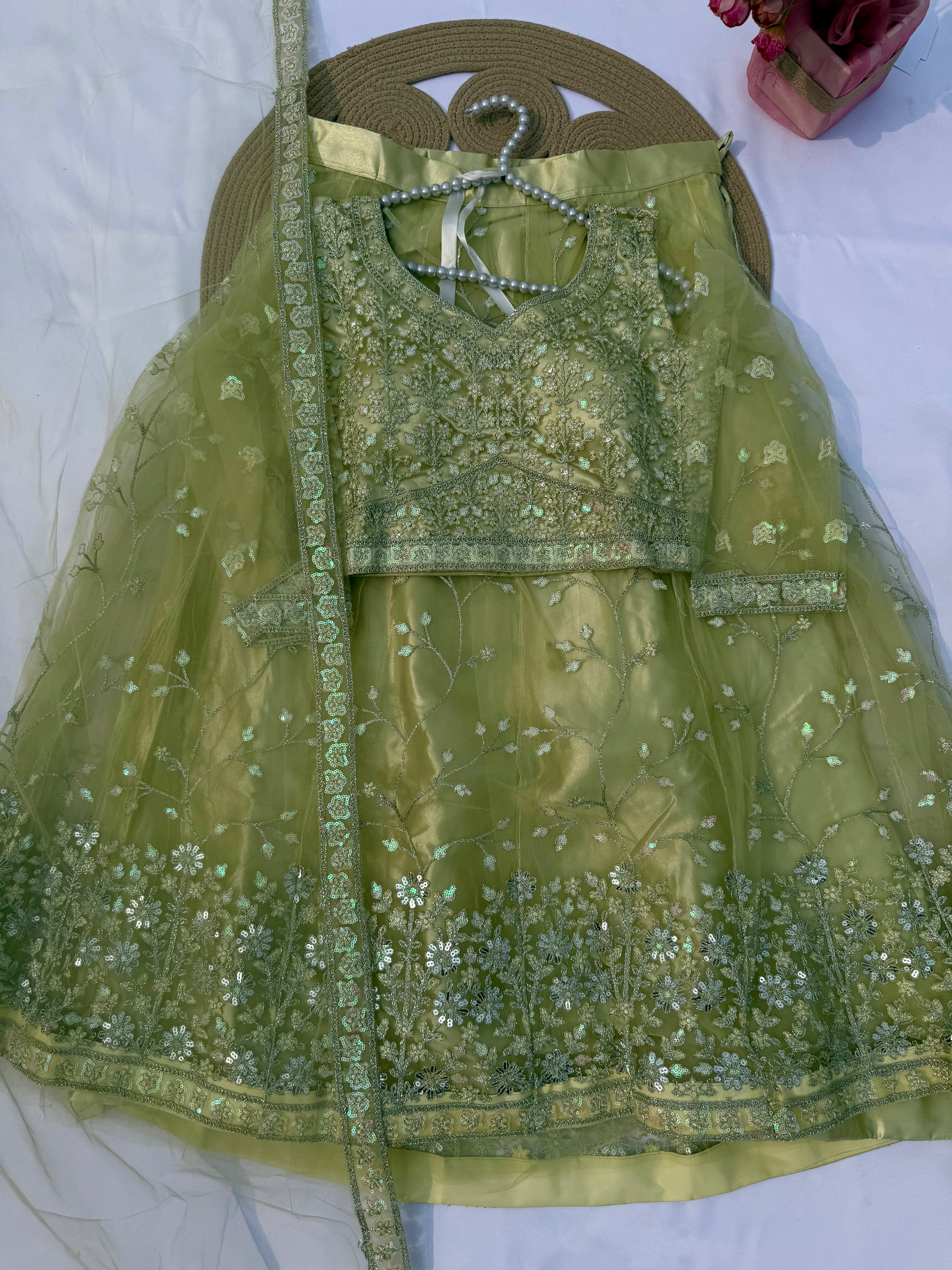 L-109 Net Lehenga Set with Heavy All-Over Embroidery & Detailed Back Work